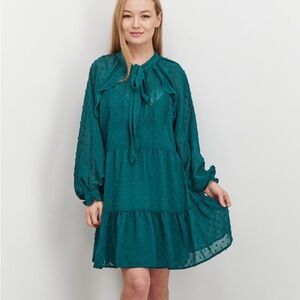 Aqua Ruffle Swiss  Dot Mini Dress Dark Green Medium Anthropologie